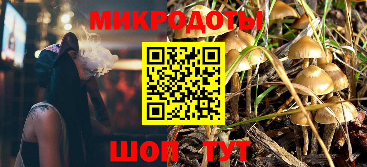 Псилоцибиновые грибы Psilocybe Саратов